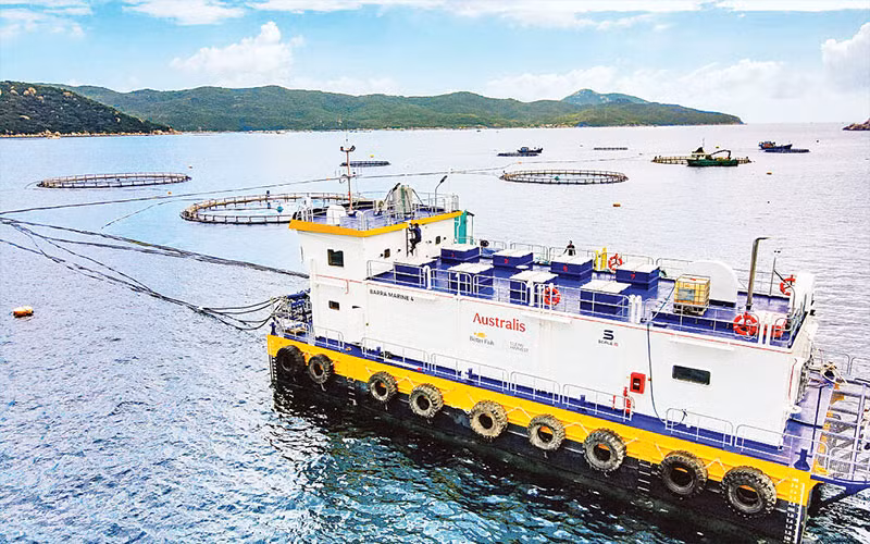 Hệ thống cho ăn tự động trong nuôi thủy sản của Công ty TNHH Thủy sản Australis Việt Nam. (Ảnh Minh Anh)