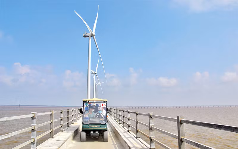 Du khách Thành phố Hồ Chí Minh tham quan điện gió ở tỉnh Bạc Liêu.