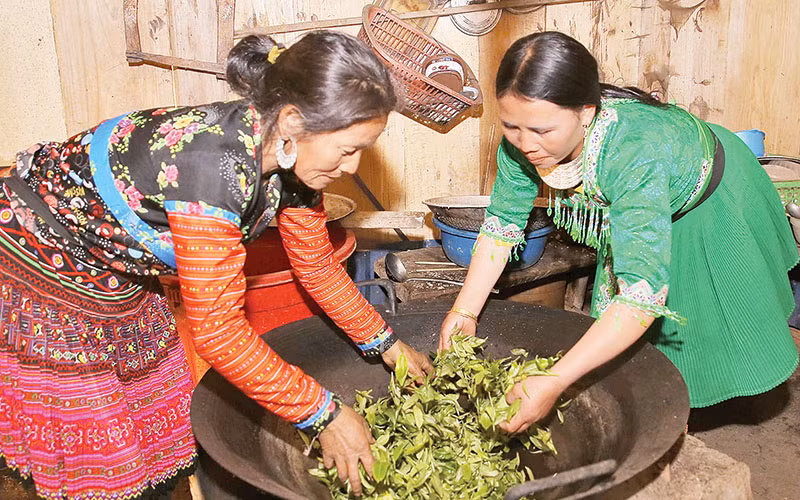 Ở xã Tà Xùa, đồng bào H’Mông vẫn duy trì cách thức sao chè bằng tay.