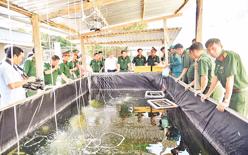 Tham quan mô hình nuôi cá chạch lấu trong khu tăng gia sản xuất tập trung.