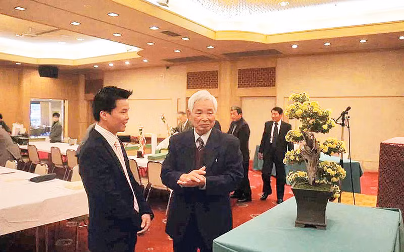 Một tác phẩm bonsai hoa cúc của Nguyễn Văn Quảng..