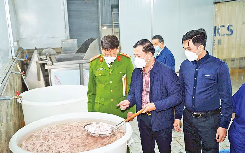 Kiểm tra công tác vệ sinh an toàn thực phẩm tại Công ty TNHH sản xuất chế biến thực phẩm Alishan (thôn Phù Yên, xã Trường Yên, huyện Chương Mỹ). (Ảnh THU TRANG)