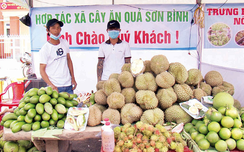 Một gian hàng trái cây tại Lễ hội trái cây Khánh Sơn, tỉnh Khánh Hòa. (Ảnh PHONG NGUYÊN)