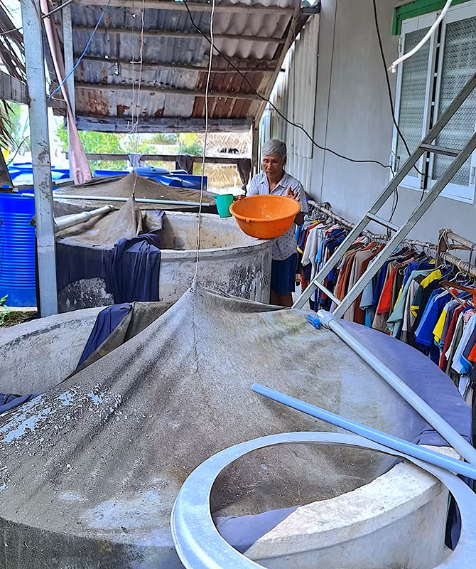 Nguời dân ấp Minh Hà B (xã Khánh Bình Đông) dùng nhiều lu, khạp… trữ nước mưa nhưng không đủ xài trong mùa khô hạn.