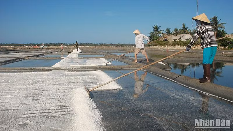 Nghề làm muối Sa Huỳnh được công nhận Di sản văn hóa phi vật thể quốc gia.