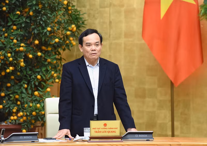 Phó Thủ tướng Trần Lưu Quang phát biểu.