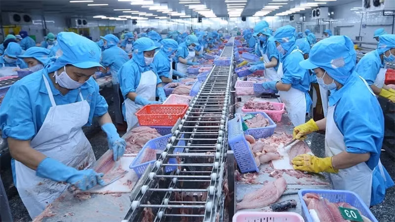 Chế biến thủy sản xuất khẩu. (Nguồn: TTXVN)