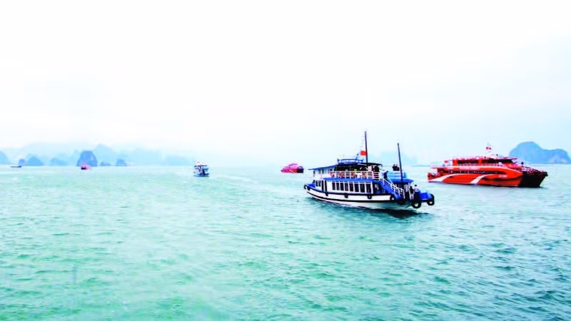 Vịnh Bái Tử Long, Vân Đồn có vẻ đẹp hoang sơ với hệ thống đảo đất sẽ là điểm đến hấp dẫn của du khách trong nước và quốc tế.