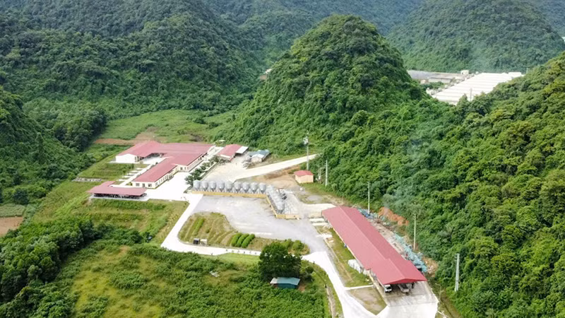 Quang cảnh cơ sở chăn nuôi có hành vi vi phạm về môi trường.