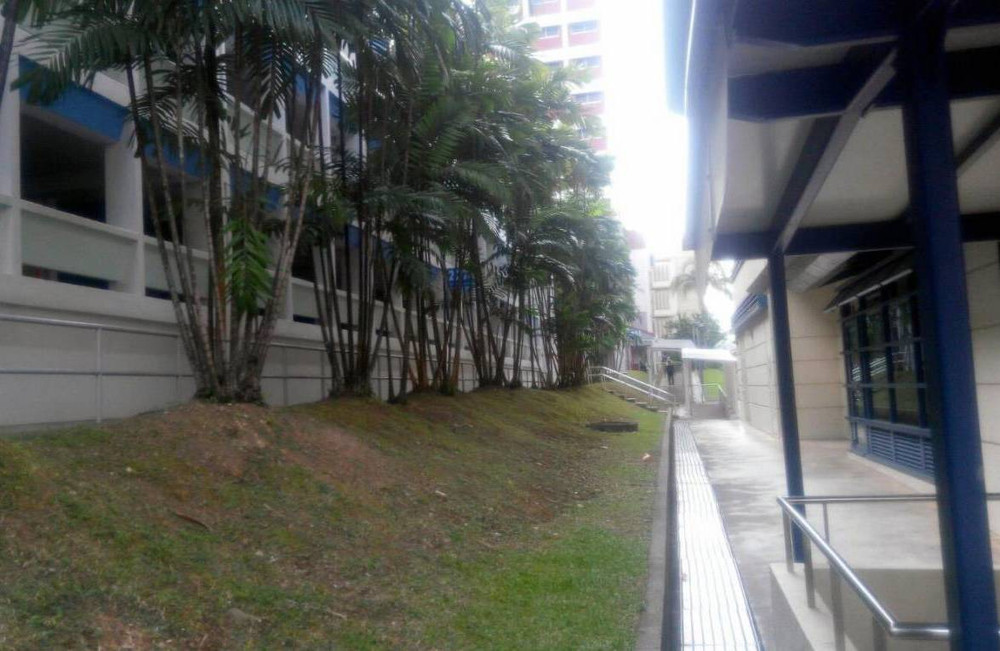 Singapore và 200km đường đi bộ có mái che ảnh 2