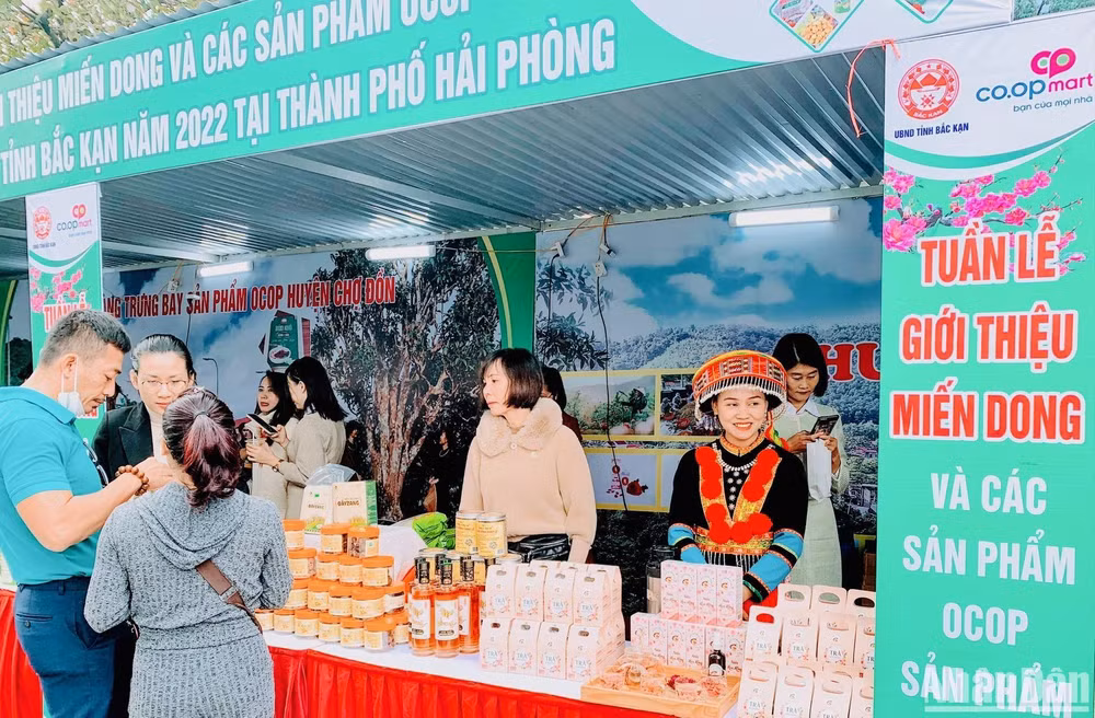 Người dân thành phố Cảng tham quan, mua sắm tại Tuần lễ giới thiệu miến dong và các sản phẩm OCOP, sản phẩm bản địa tỉnh Bắc Kạn.