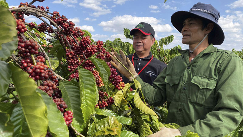 CPTPP là thị trường chủ lực của nhiều loại hàng hóa của Việt Nam.