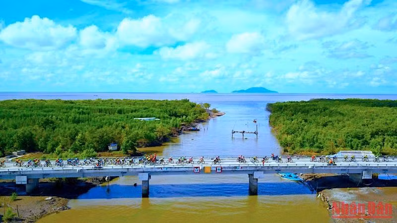 Tại Giải chạy Đất Mũi Marathon - Cà Mau 2022, các vận động viên sẽ chạy ngang qua khung cảnh rừng-biển bạt ngàn về tận Mũi Cà Mau. (Ảnh: HỮU TÙNG)