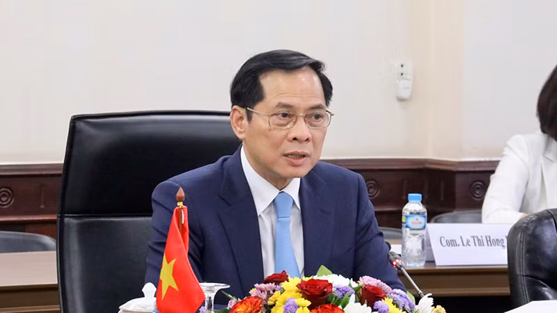 Phó Thủ tướng, Bộ trưởng Ngoại giao Bùi Thanh Sơn phát biểu tại Tham vấn Chính trị lần thứ 11 cấp Bộ trưởng Ngoại giao Việt Nam-Lào. (Ảnh: Trịnh Dũng)