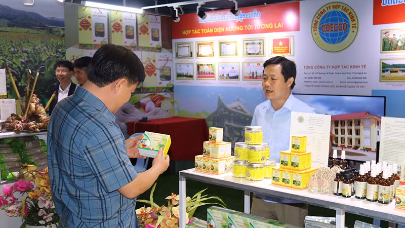 Du khách tham quan một gian hàng của Việt Nam tại hội chợ. (Ảnh: Hải Tiến)