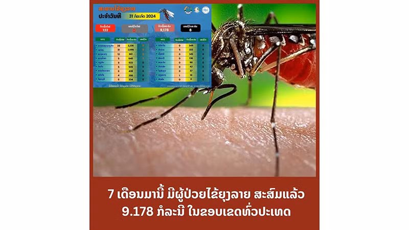 Biểu đồ ghi nhận số ca sốt xuất huyết tại Lào. (Ảnh: Trung tâm thông tin y tế thuộc Bộ Y tế Lào)