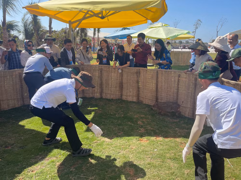 Các du khách trải nghiệm trò chơi bịt mắt bắt heo