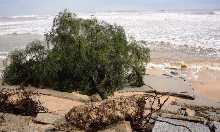 Sạt lở gây phá hỏng vỉa hè, đổ ngã cây dương ven đường nội bộ khu vực bãi tắm. (Ảnh: AP)