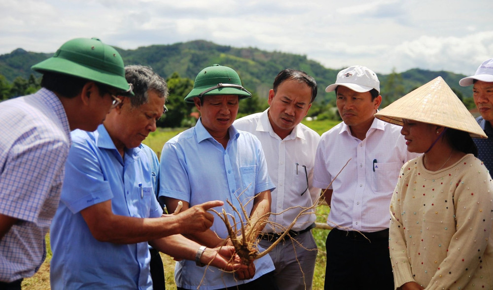 Đồng chí Bí thư Tỉnh ủy Lê Trường Lưu (thứ ba từ trái sang) kiểm tra các mô hình đầu tư giảm nghèo tại huyện miền núi A Lưới.