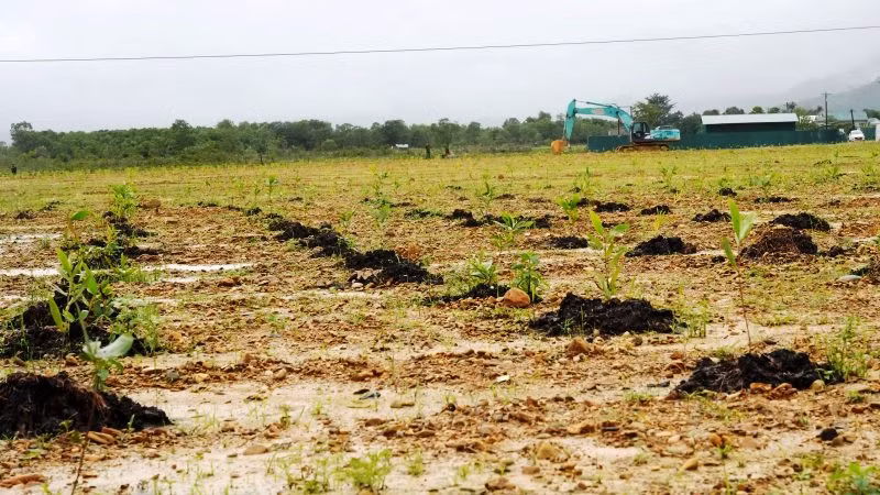 Đơn vị đã tiến hành hoàn thổ và trồng cây trên diện tích đất khu B (5,23ha), Khu vực hoàn thành xử lý hiện trường được hoàn trả môi trường trong sạch, an toàn