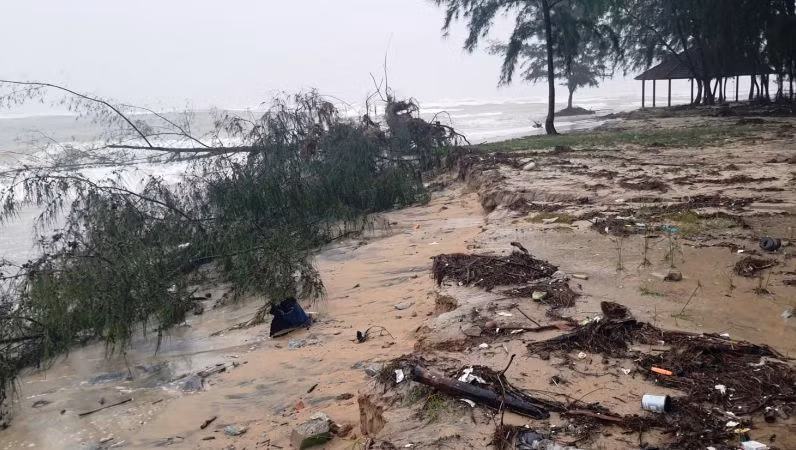 Bờ biển xã Lộc Vĩnh (huyện Phú Lộc) thường xuyên đối mặt với nạn sạt lở vào mùa mưa.