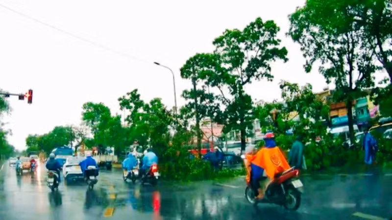 Cây xanh ngã đổ ở trên đường Trần Hưng Đạo (thành phố Huế) vì giông lốc.