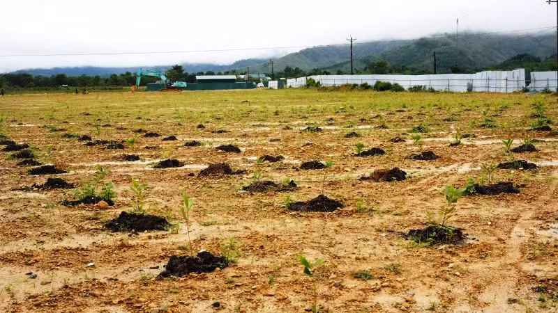 Khu vực hoàn thành xử lý hiện trường được hoàn trả môi trường trong sạch, an toàn.