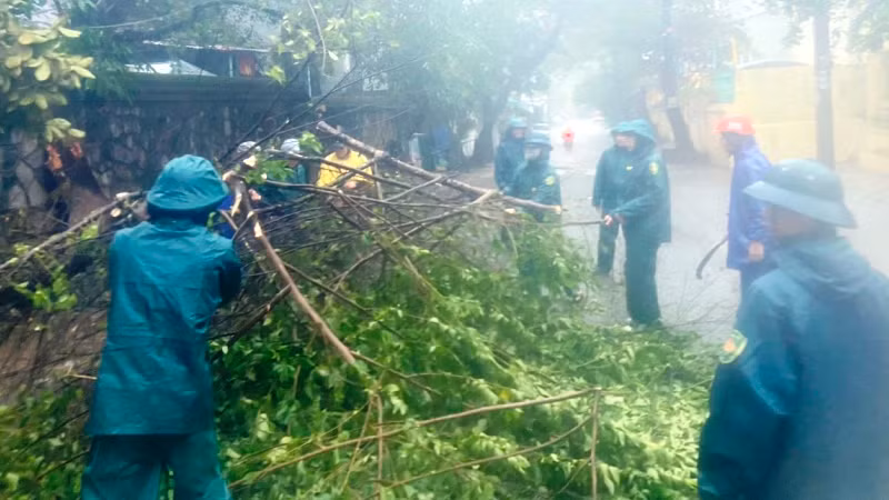Lực lượng Quân đội cùng dân quân thu gom cây ngã đổ trên các tuyến phố. Lực lượng Quân đội cùng dân quân thu gom cây ngã đổ trên các tuyến phố.