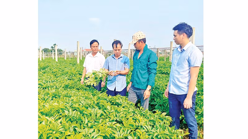  Từ nông thôn mới đến đô thị di sản