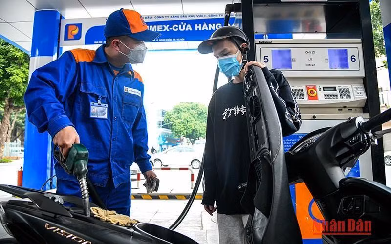 (Ảnh minh họa: THÀNH ĐẠT)