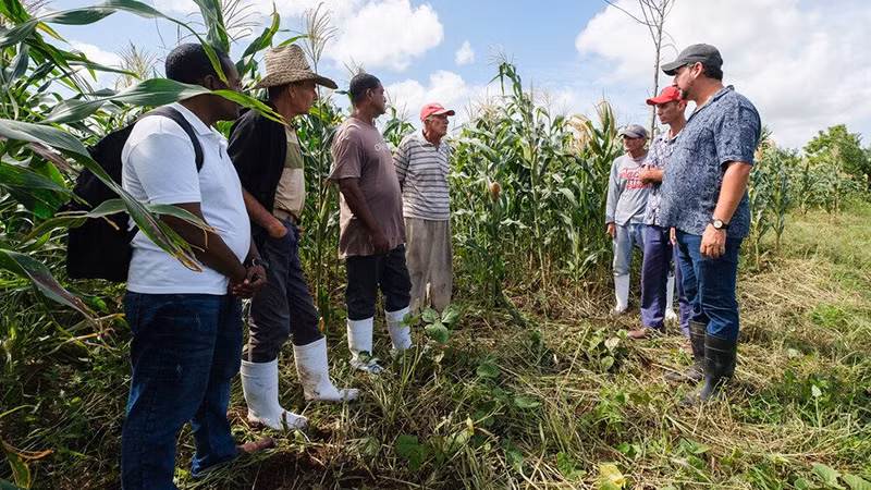 Các chuyên gia thảo luận với nông dân Cuba về giải pháp nông nghiệp. 