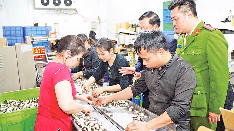 Các cơ quan chức năng kiểm tra một cơ sở sản xuất bánh kẹo tại thành phố Hà Nội. 