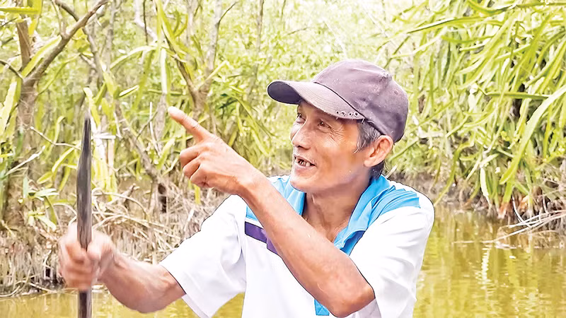 Ông Mai Lam Phương với niềm vui từ vườn thanh long trên vuông tôm của mình. 