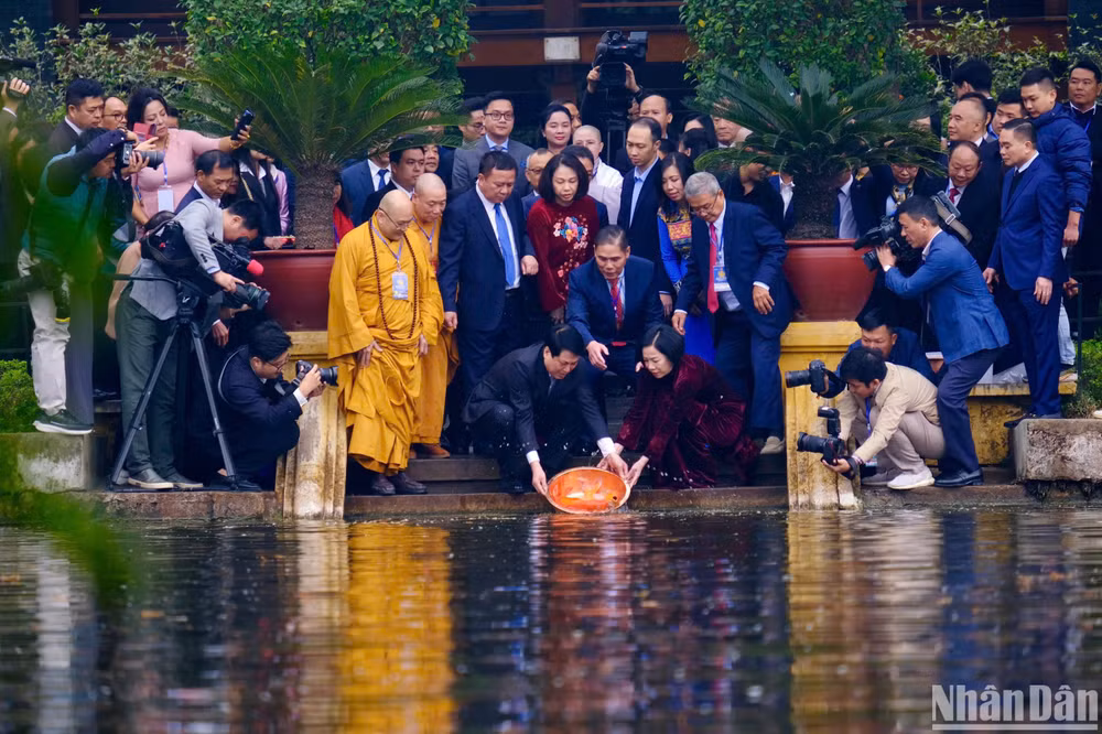 Chủ tịch nước và Phu nhân thực hiện nghi thức thả cá chép tại Ao cá Bác Hồ.