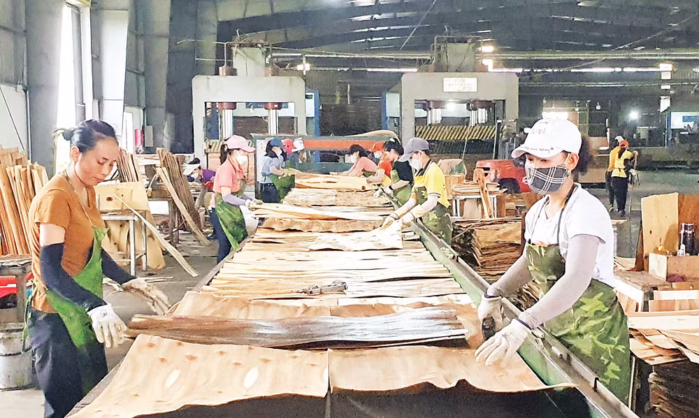 Sản xuất ván lạng ở Khu công nghiệp tây bắc Đồng Hới (Quảng Bình). 