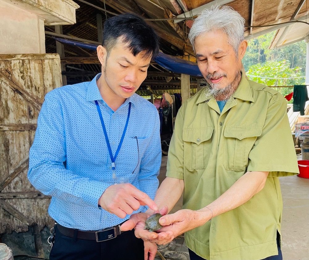 Ông Vũ Hà Tiến (bên trái) chia sẻ cách chăm sóc ba ba thương phẩm.