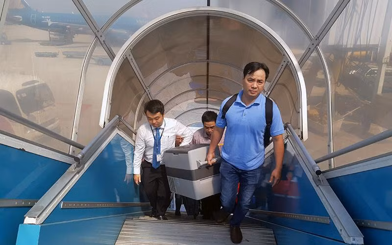 Hành trình mang sứ mệnh "hồi sinh"