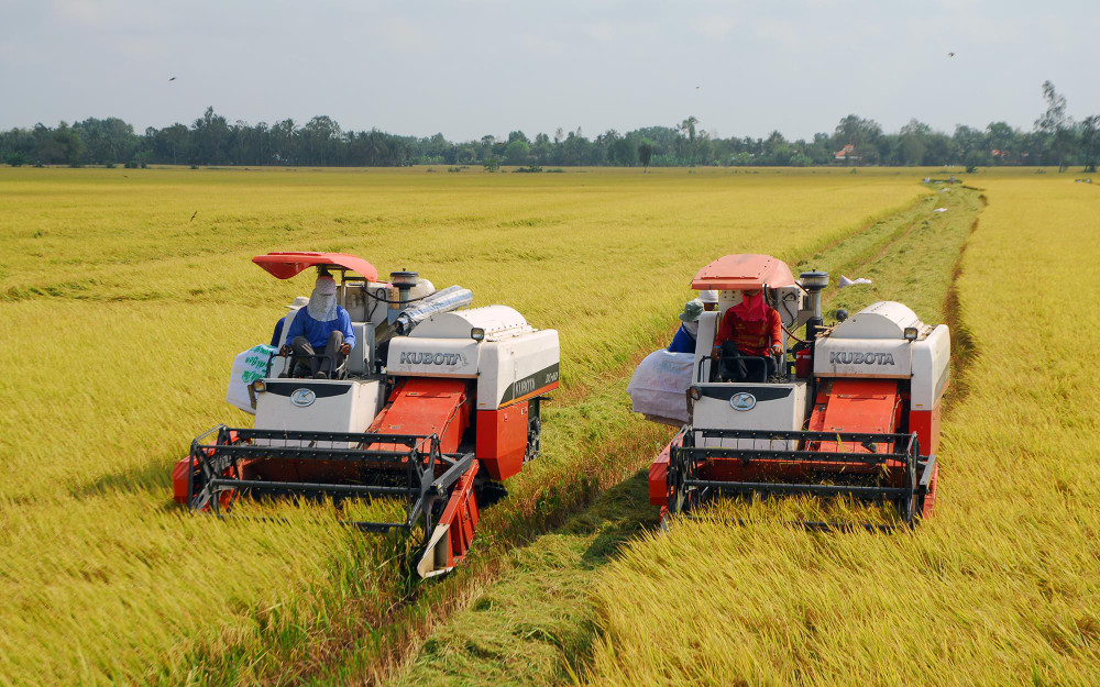 Mô hình tích tụ ruộng đất ở huyện Cai Lậy (tỉnh Tiền Giang) rất thuận lợi cho cơ giới hóa. 