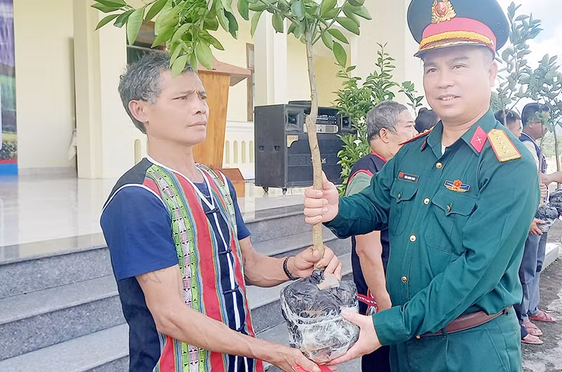 Đại diện Đoàn Kinh tế-Quốc phòng 207 trao cây giống tặng người dân huyện Nam Giang.