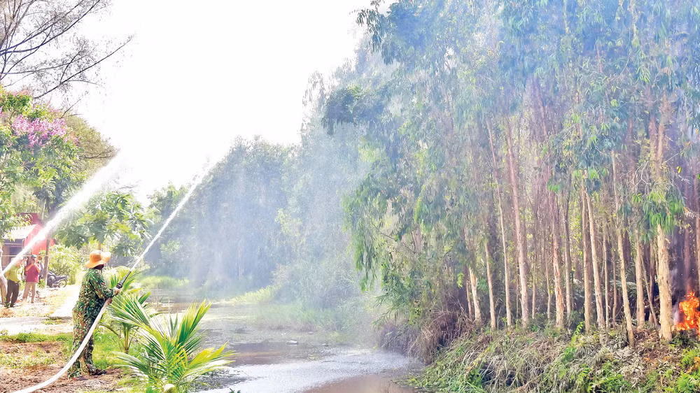 Để chủ động trước các tình huống xấu, lực lượng Kiểm lâm tỉnh Cà Mau thường xuyên tổ chức diễn tập công tác phòng cháy, chữa cháy rừng tại Vườn Quốc gia U Minh Hạ.