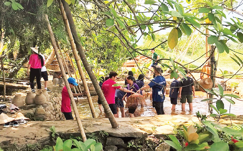 Tham gia các hoạt động trải nghiệm trong không gian xanh là một đặc trưng của Trang trại Đồng quê (huyện Ba Vì). 