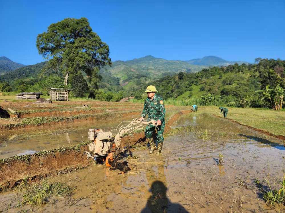 Bộ đội biên phòng Nghệ An giúp bà con phát triển sản xuất