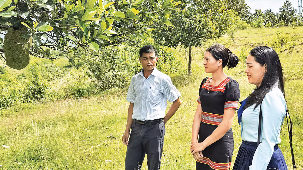 Sau khi được nhập tịch, Y Trinh (giữa) chí thú làm ăn, phát triển kinh tế hộ gia đình. 