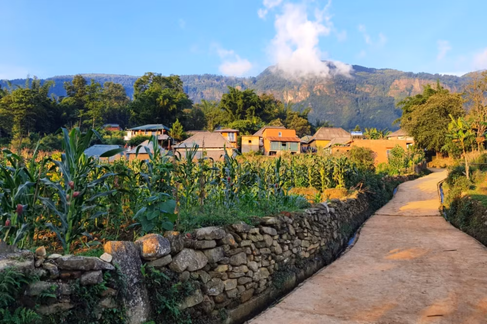 Phát triển du lịch cộng đồng ở Y Tý giúp nâng cao thu nhập của người dân, đồng thời góp phần phát triển những giá trị văn hóa truyền thống của cộng đồng các dân tộc. Phát triển du lịch cộng đồng ở Y Tý giúp nâng cao thu nhập của người dân, đồng thời góp phần phát triển những giá trị văn hóa truyền thống của cộng đồng các dân tộc.