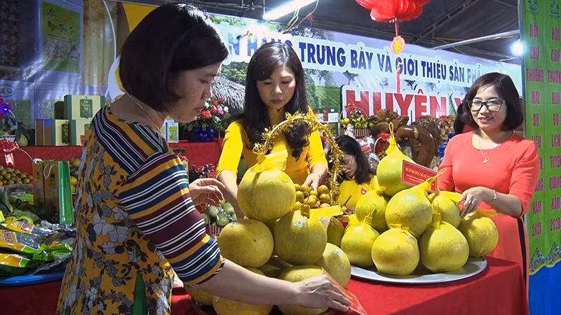 Quảng bá, giới thiệu bưởi đường Soi Hà tại hội chợ thương mại