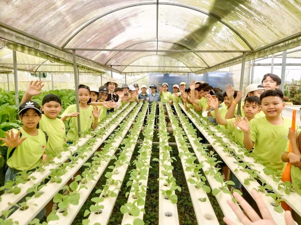 Du lịch trải nghiệm tại Hợp tác xã Dịch vụ sản xuất và Tiêu thụ rau an toàn Túy Loan (Đà Nẵng).