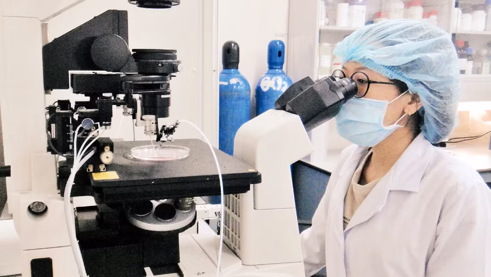 Nghiên cứu khoa học tại Trường đại học Quốc tế, Đại học Quốc gia Thành phố Hồ Chí Minh. 
