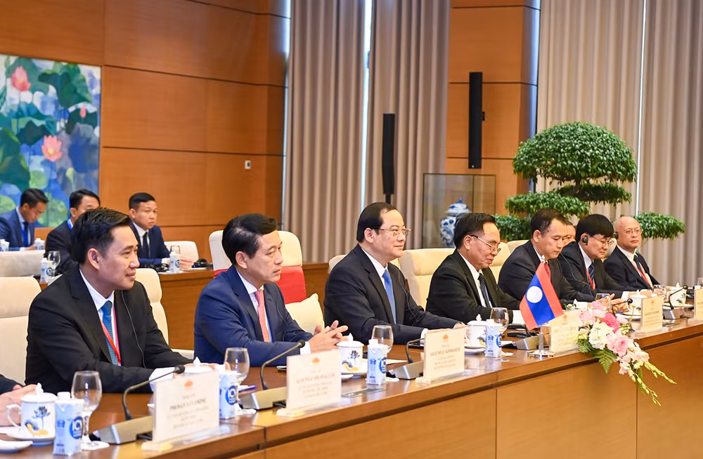 [Ảnh] Chủ tịch Quốc hội Vương Đình Huệ hội kiến Thủ tướng Lào Sonexay Siphandone ảnh 9