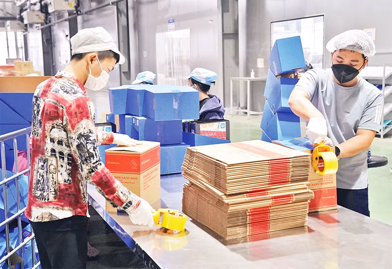 Công nhân làm việc tại nhà máy của Công ty TNHH Deli Việt Nam, huyện Yên Phong, tỉnh Bắc Ninh. (Ảnh ĐĂNG ANH)