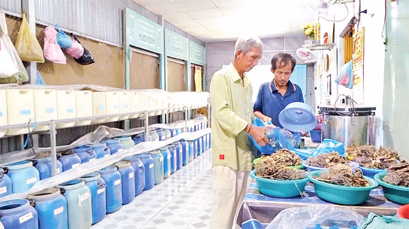 Các thành viên tham gia hỗ trợ bốc thuốc.